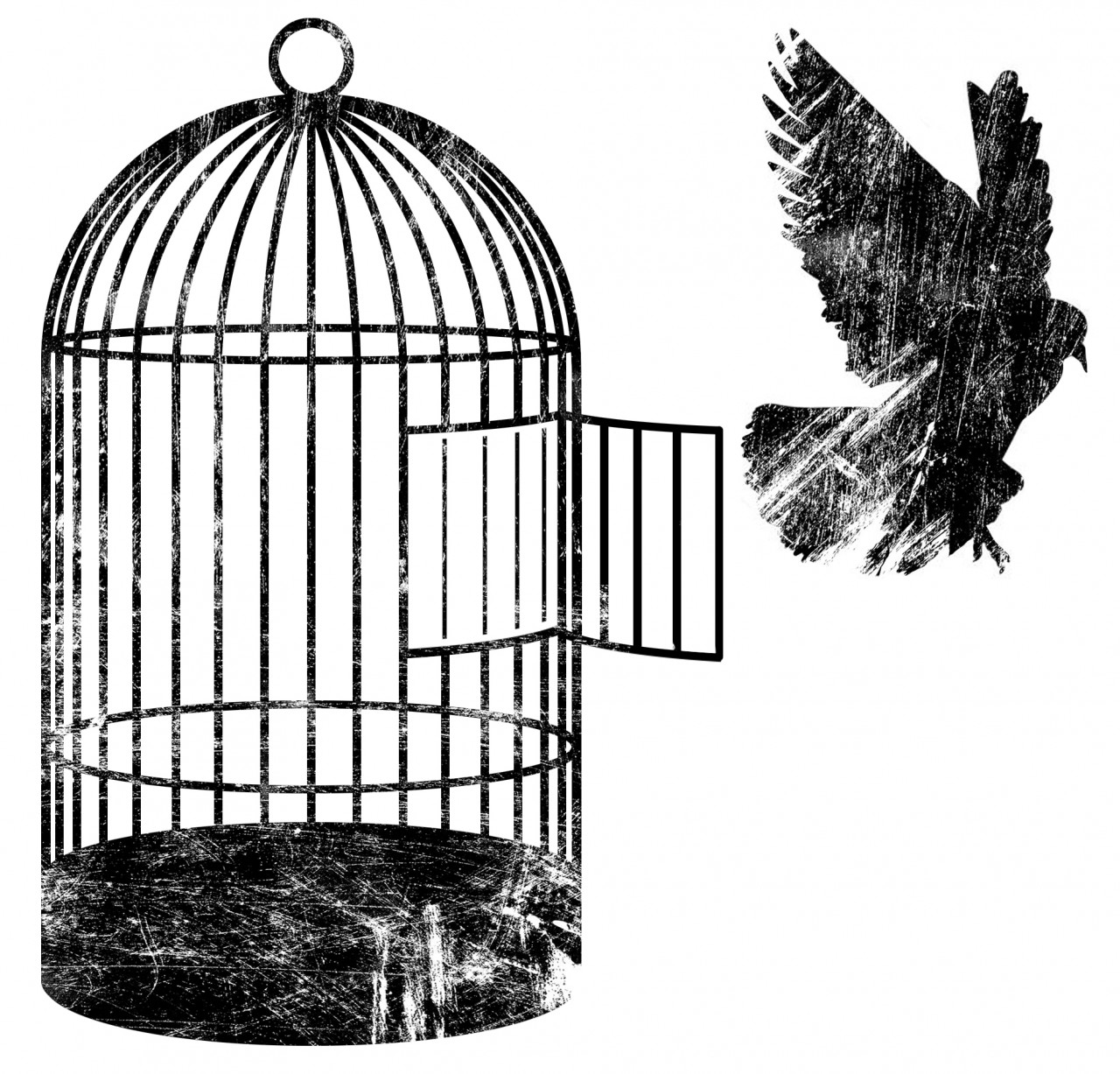 Safeguarding liberty and human rights