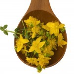 Christopher Sampson ~ Cost-effectiveness of St John’s wort for treatment of depression
