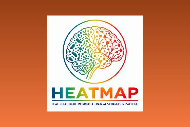 An illustration of a brain in different colours, including the text heatmap, Heat-Related Gut–Microbiota–Brain-Axis Changes in Psychosis