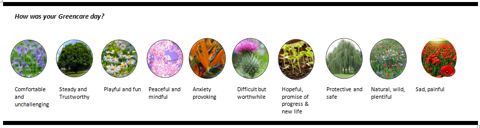 Greencare emoticon scale